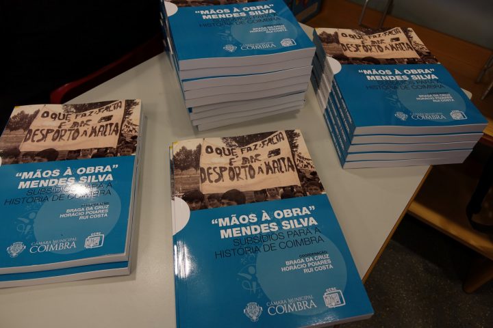 jardim mendes silva 10